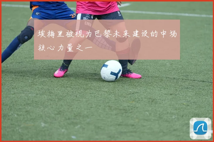 埃梅里被视为巴黎未来建设的中场核心力量之一